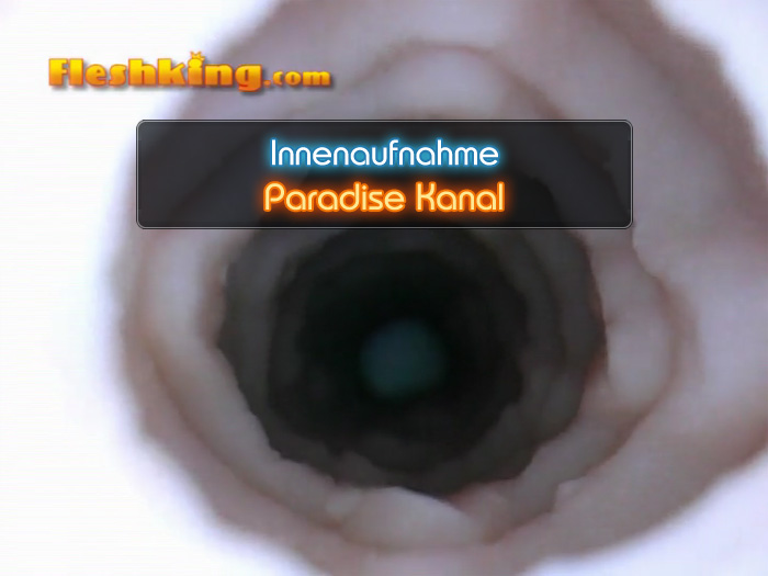 Video Paradise Fleshjack