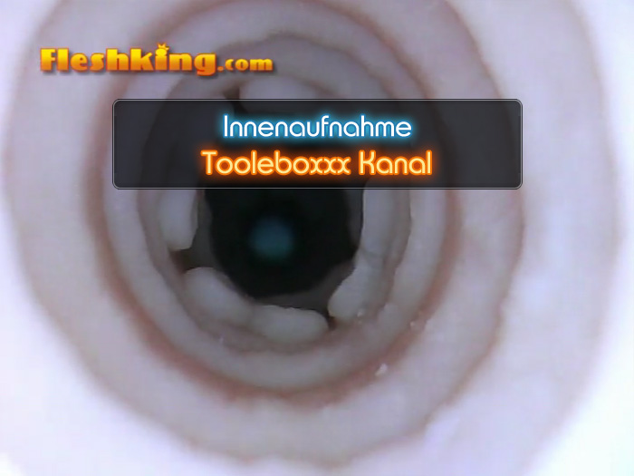 Video Tooleboxxx Fleshjack