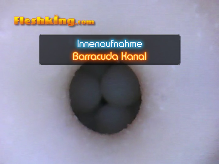 Video Barracuda Fleshlight