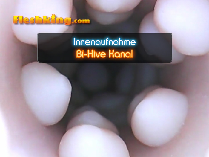 Video Bi-Hive Fleshlight