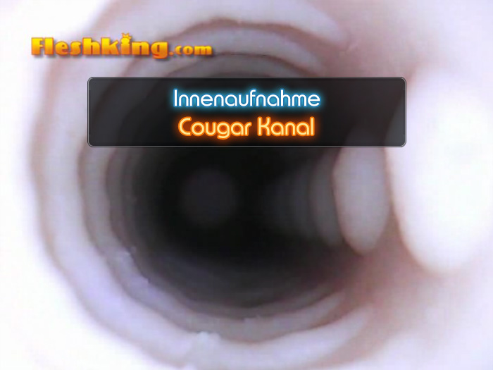 Video Cougar Fleshlight