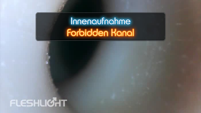 Video Forbidden Fleshlight