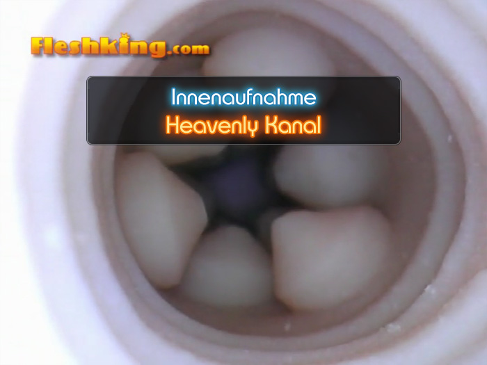 Video Heavenly Fleshlight