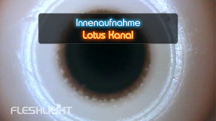 Video Lotus Fleshlight