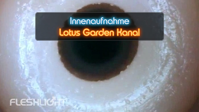 Video Lotus Garden Fleshlight