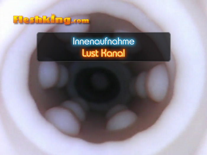 Video Lust Fleshlight