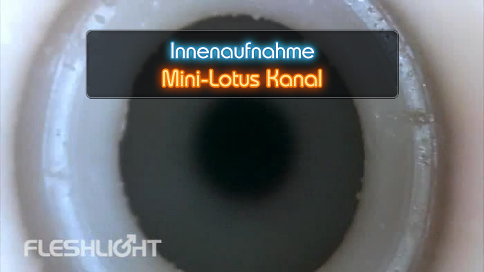 Video Mini Lotus Fleshlight