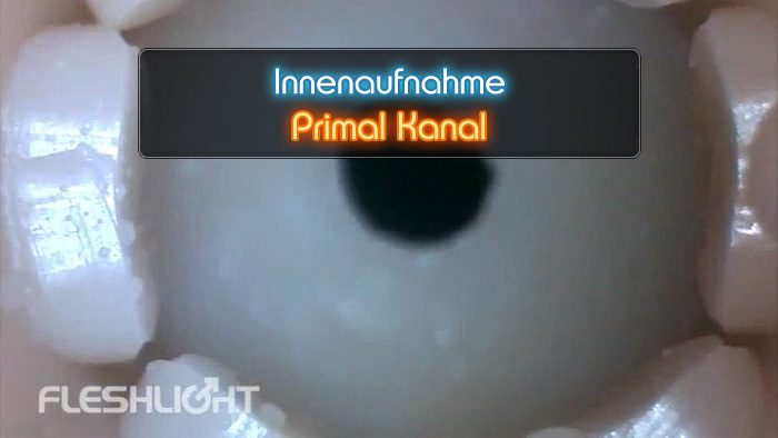 Video Primal Fleshlight