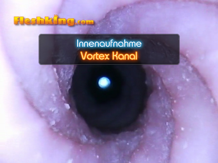 Video Vortex Fleshlight