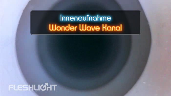 Video Wonder Wave Fleshlight