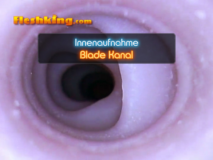 Video Blade Fleshlight