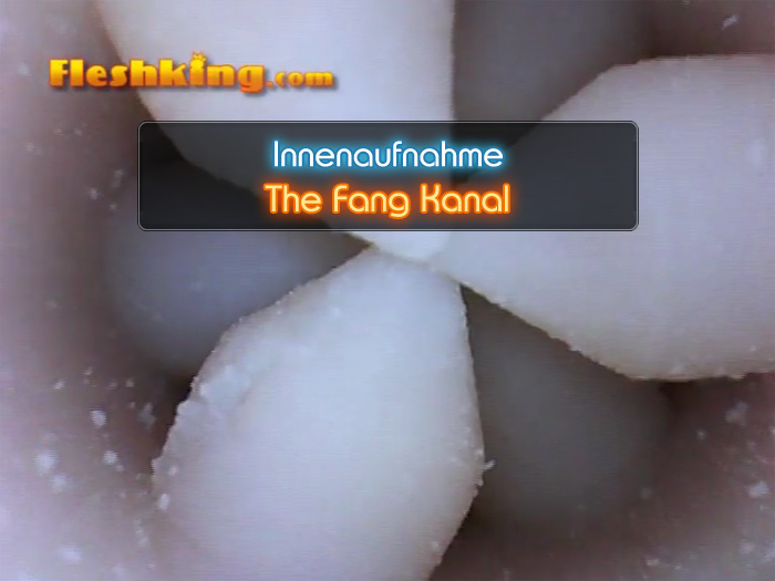 Video The Fang Succu Dry Sex in a Can