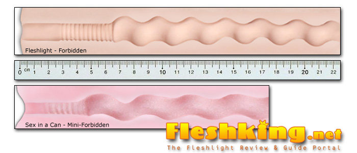 Vergleich Fleshlight Forbidden mit Sex in a Can - Mini-Forbidden